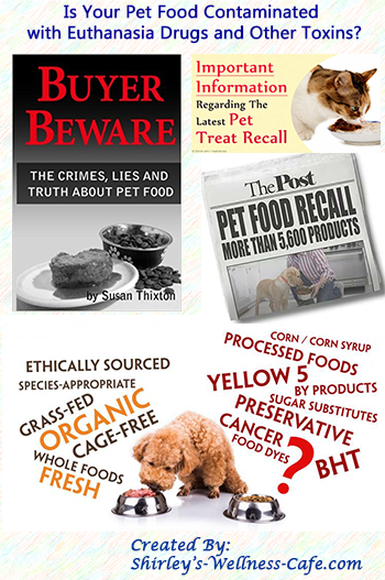 Poison in Pet Food