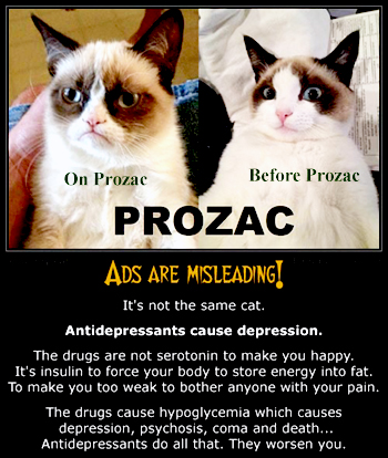 Pets on Prozac and other drugs