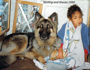 11 year old Sterling and Shasta 1990