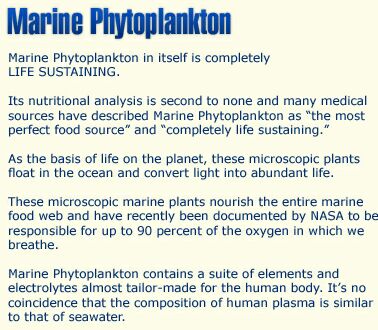 Phytoplankton Nutritional Support for Asthma