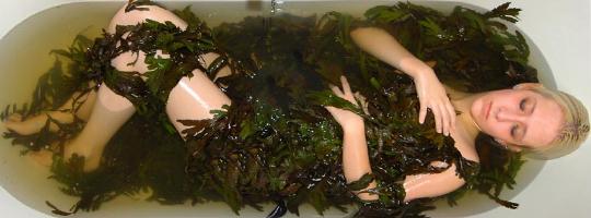Seaweed hot bath therapy