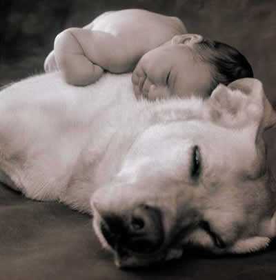 Baby resting on top of dog