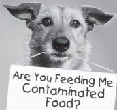 Poison in Pet Food