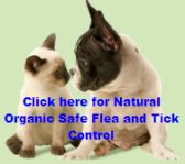 Natural Organic Flea and Tick Control for All Animals