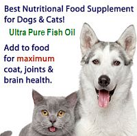 Fish oil for pets