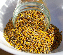 Bee Pollen